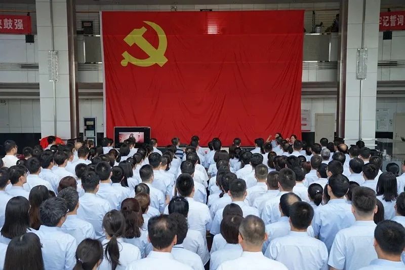 “党旗红·凯发k8强”凯发k8党建“123456”模式荣获全市组织事情刷新立异优异效果奖